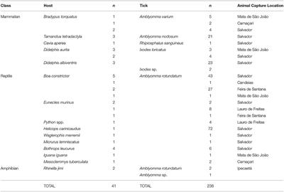 Ticks and Associated Pathogens From Rescued Wild Animals in Rainforest Fragments of Northeastern Brazil